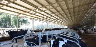 El Colegio pone a disposición de los colegiados el informe de visitas zoosanitarias de explotaciones bovinas