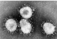 ÚLTIMAS NOTICIAS COVID – 19