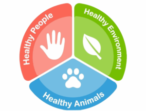 Necesitamos veterinari@s voluntarios para la campaña One Health