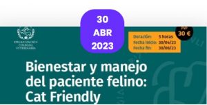 Curso online: “Bienestar y manejo del paciente felino: Cat Friendly”