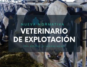 El Gobierno aprueba la norma que desarrolla la figura del veterinario de explotación