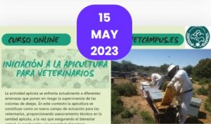 Curso online: “Iniciación a la apicultura para veterinarios”