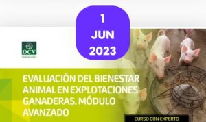 Curso online: “Evaluación del bienestar animal en explotaciones ganaderas”