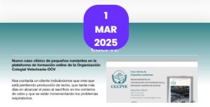 Nuevo caso clínico interactivo: “Pequeños rumiantes”, desde el 1 de marzo