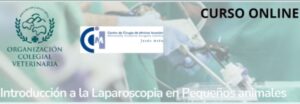 Curso Online: “Introducción a la Laparoscopia en pequeños animales”, 5ª edición