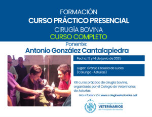 XIII Curso de Cirugía Bovina organizado por el Colegio de Veterinarios de Asturias, 13 y 14 de junio. AFORO COMPLETO