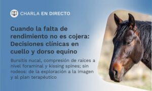 Hoy, webinar en directo: “Cuando la falta de rendimiento no es cojera: Decisiones clínicas en cuello y dorso equino”