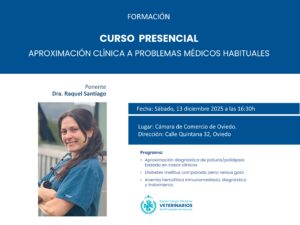 Curso del colegio: “Aproximación clínica a problemas médicos habituales”, 13 de diciembre
