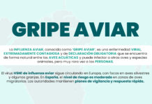 Los veterinarios llaman a la calma e insisten en que el contagio de influenza aviar a humanos es muy excepcional