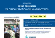 El Colegio organiza el XIII Curso Práctico de Cirugía en Bovinos, 19 y 20 de junio