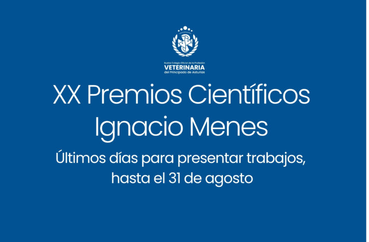 Presenta tu trabajo a los XX Premios Ignacio Menes del Colegio hasta el 31 de agosto