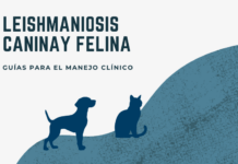 El PRAN publica guías para un uso prudente de antimicrobianos frente a la leishmaniosis canina y felina