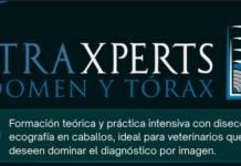 El Colegio patrocina el curso sobre equinos ‘UltraXperts Abdomen y Tórax’