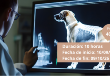 Curso online “Errores comunes en medicina interna y cómo evitarlos en la práctica diaria”, desde el 10 de septiembre